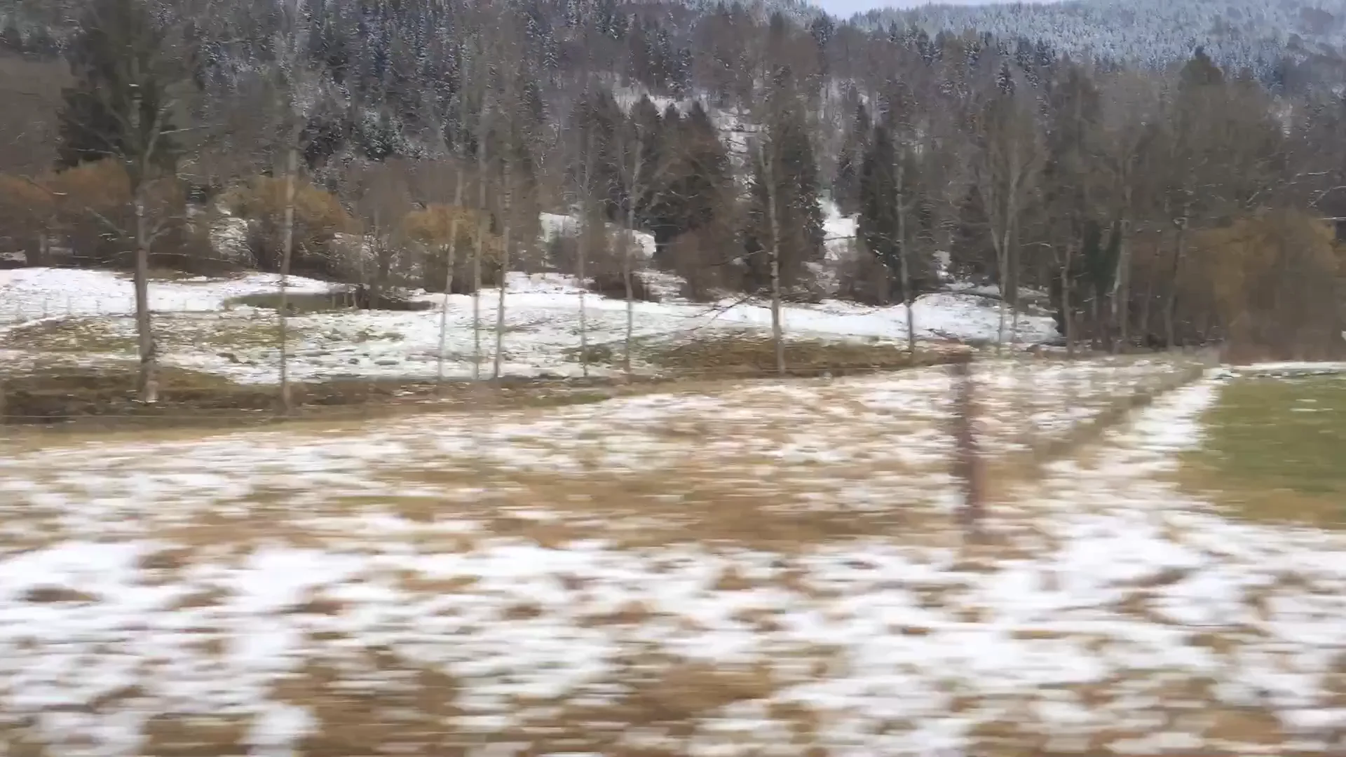 Europe on Vimeo