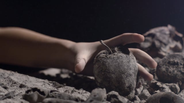 ACF climat et faim
