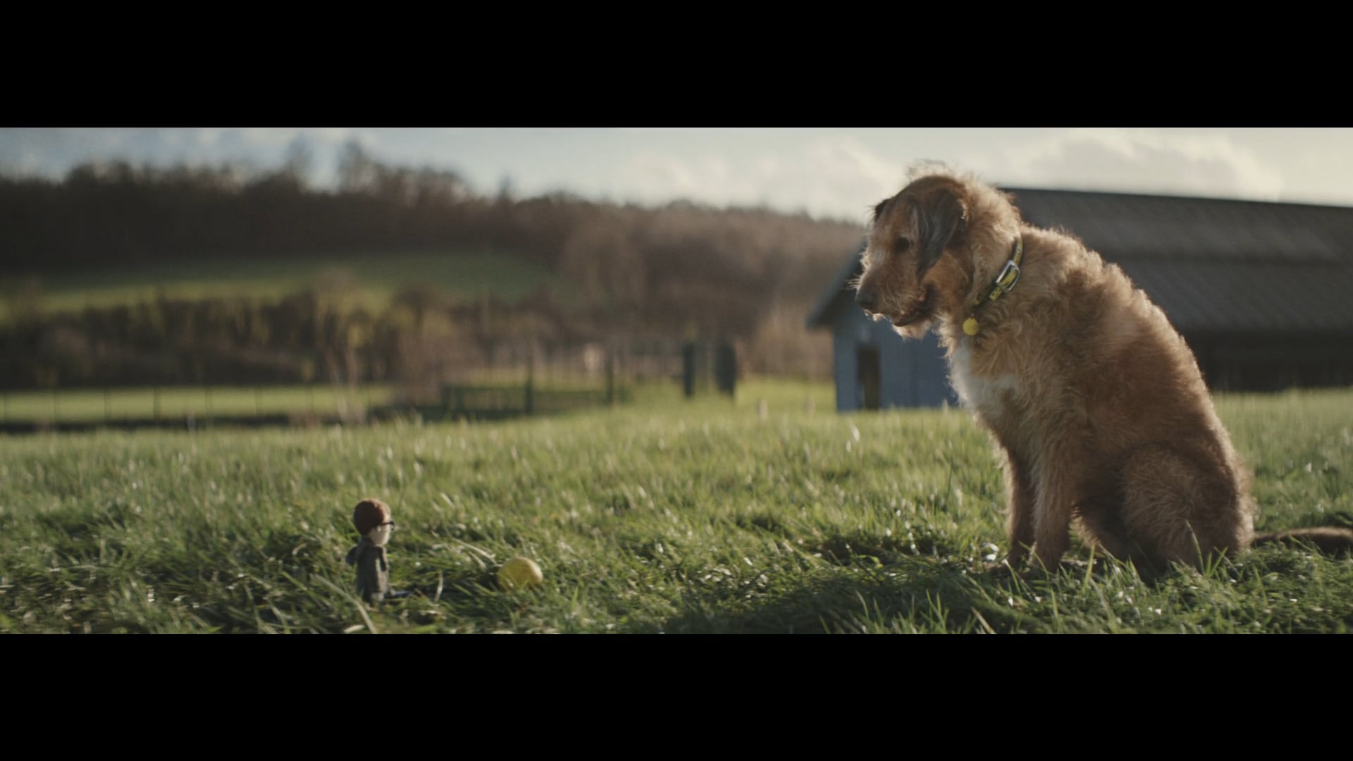 DOGSTRUST