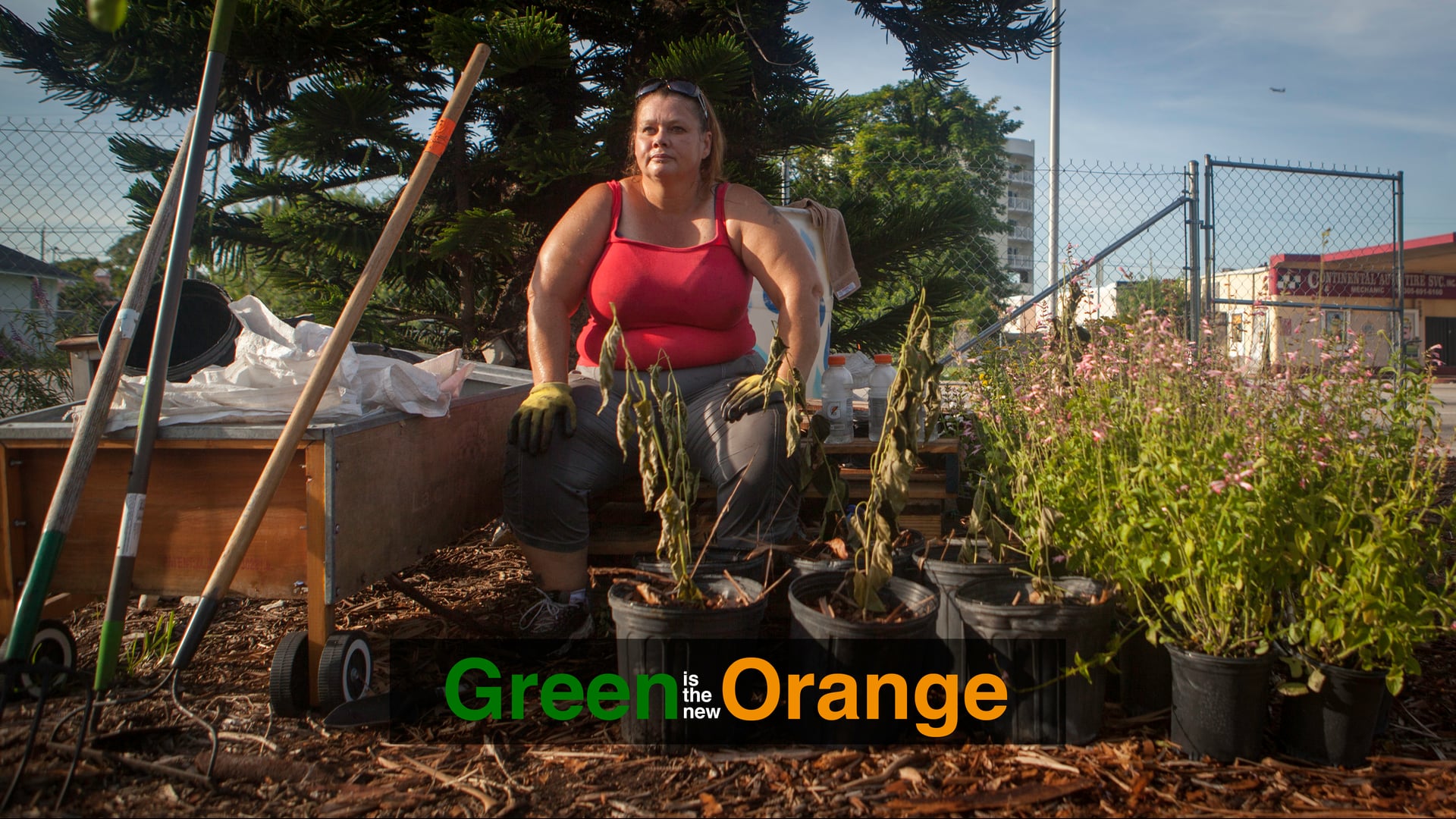 Green is the New Orange