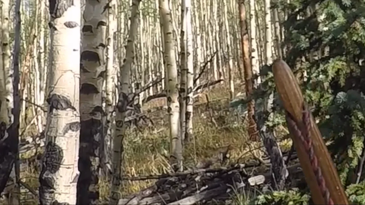 Hunting Video on Vimeo