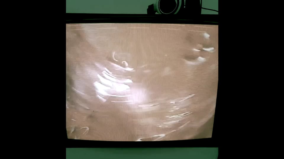 Carolee Schneemann Interior Scroll (The Cave)1975 on Vimeo