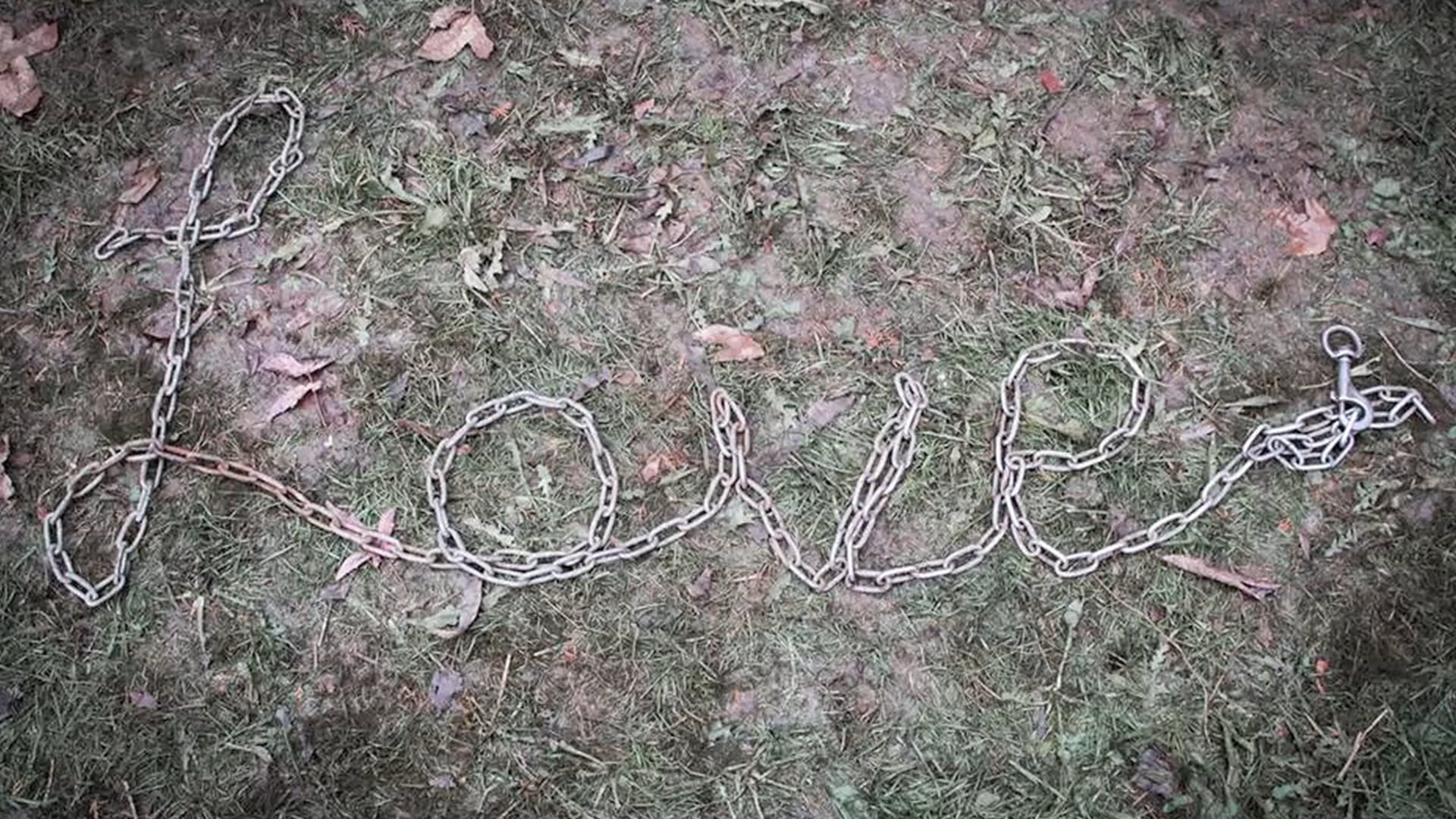 2016 Oregon Humane Society - Diamond Collar Award - Kelly Peterson