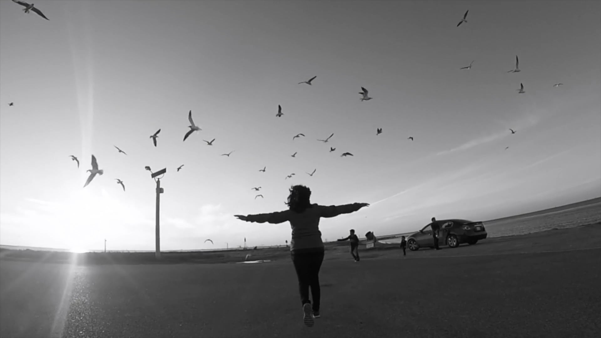 A day in the dike