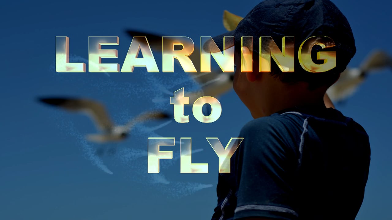 Learning To Fly