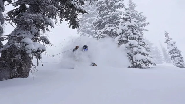 Perfect Powder, Explained