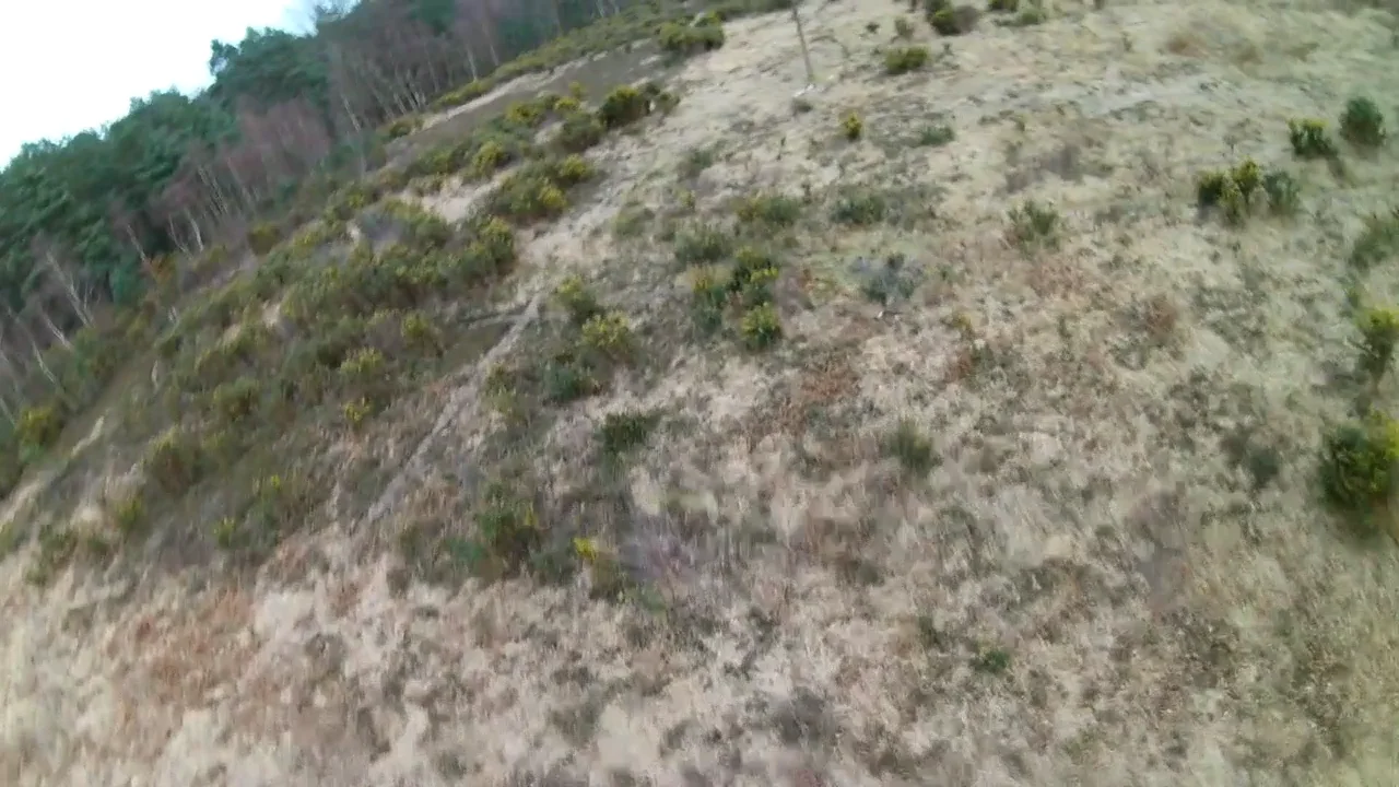 Camera Testing day on Vimeo