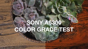 Sony a6300 Users Group