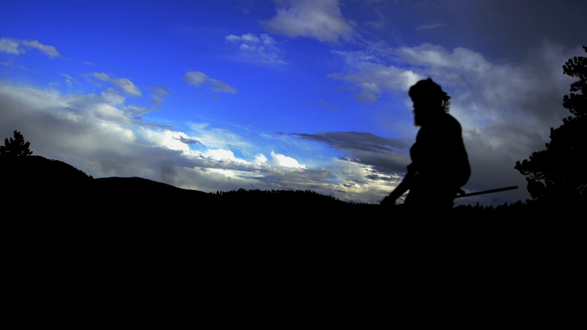 Director of Photography       Walter Mather Reel 2016