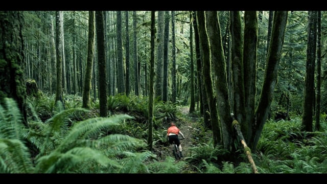 Diamondback Level Link from Diamondback Bicycles