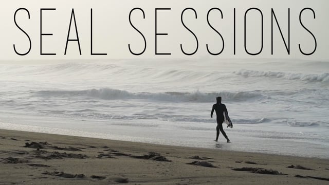 Seal Sessions // January 2016 from Skylar Wilson