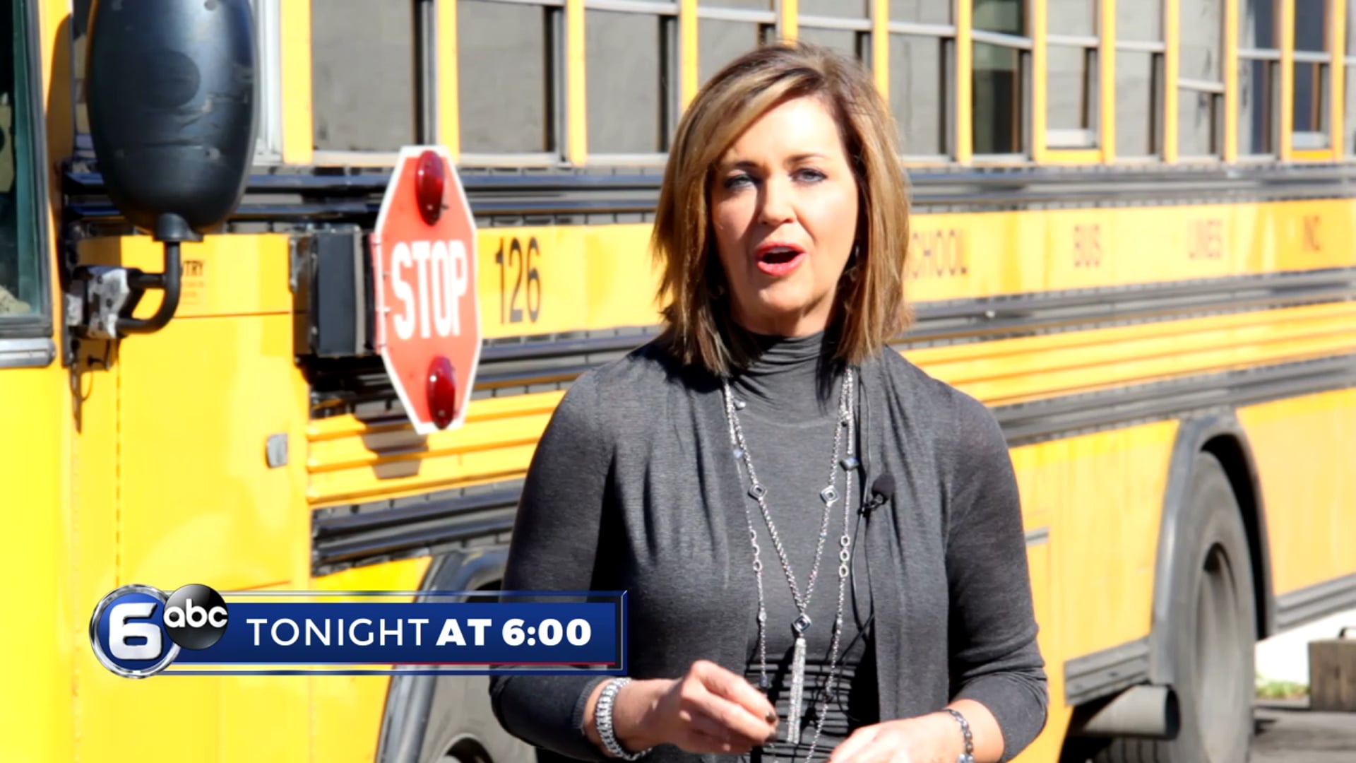 LT -School Bus Seatbelts - TON