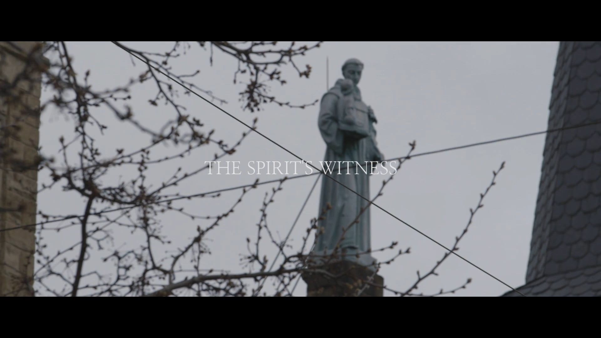 The Spirit's Witness | Segment 13 | The Wild Goose Series