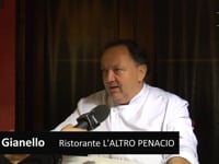 PICCIONI E ANIMALISTI – 'PENACIO' DIFENDE CRACCO