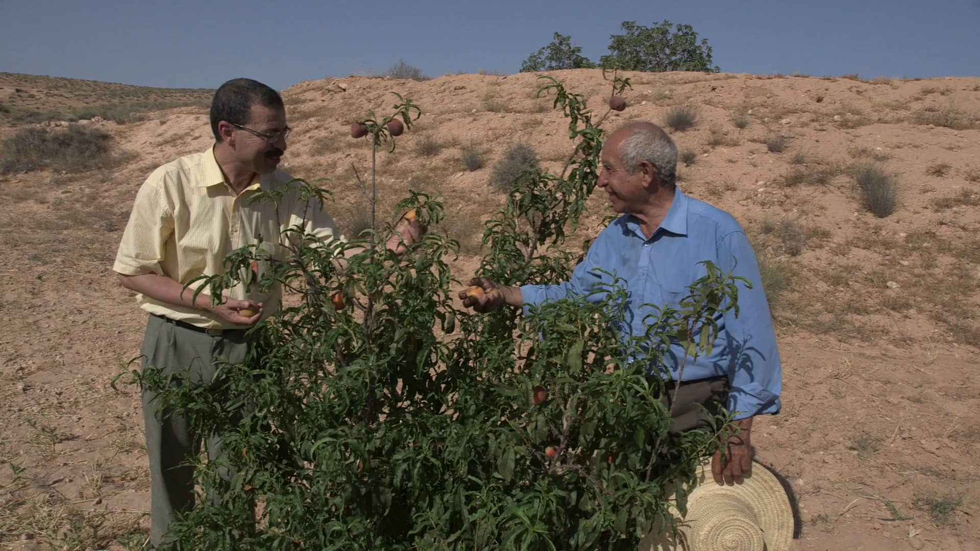 WAHARA PROJECT - Jessour Water Harvesting structures applied in Tunisia ...