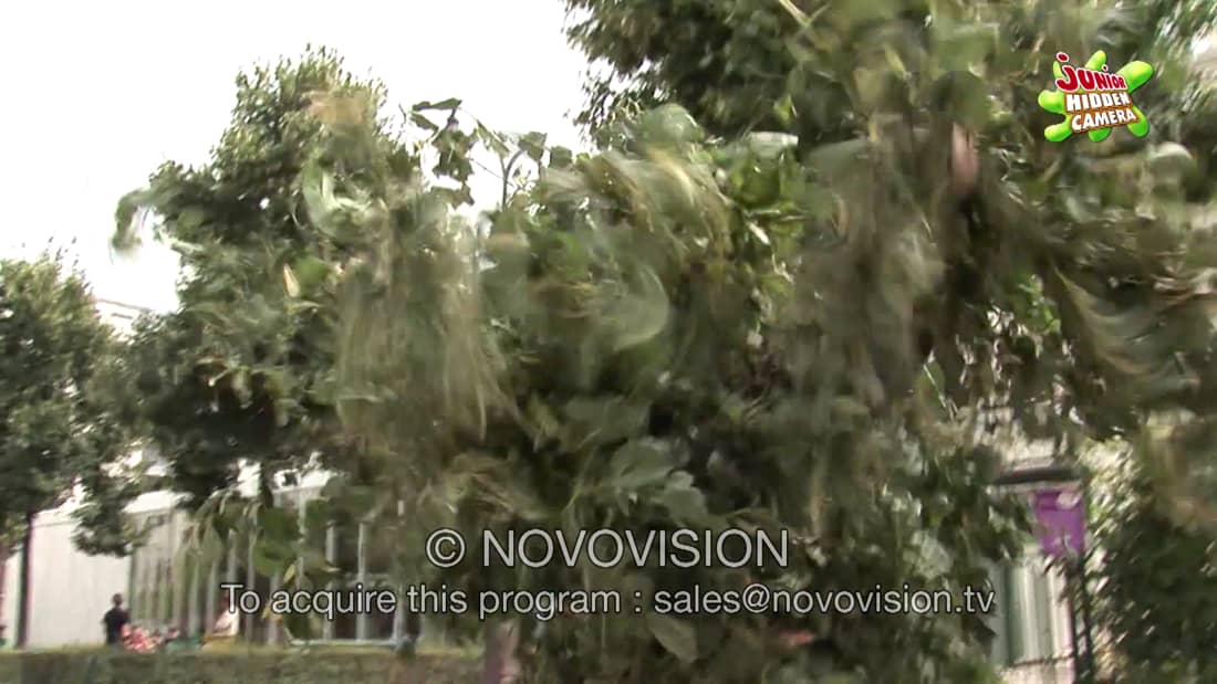 Junior Hidden Camera Novovision Tv