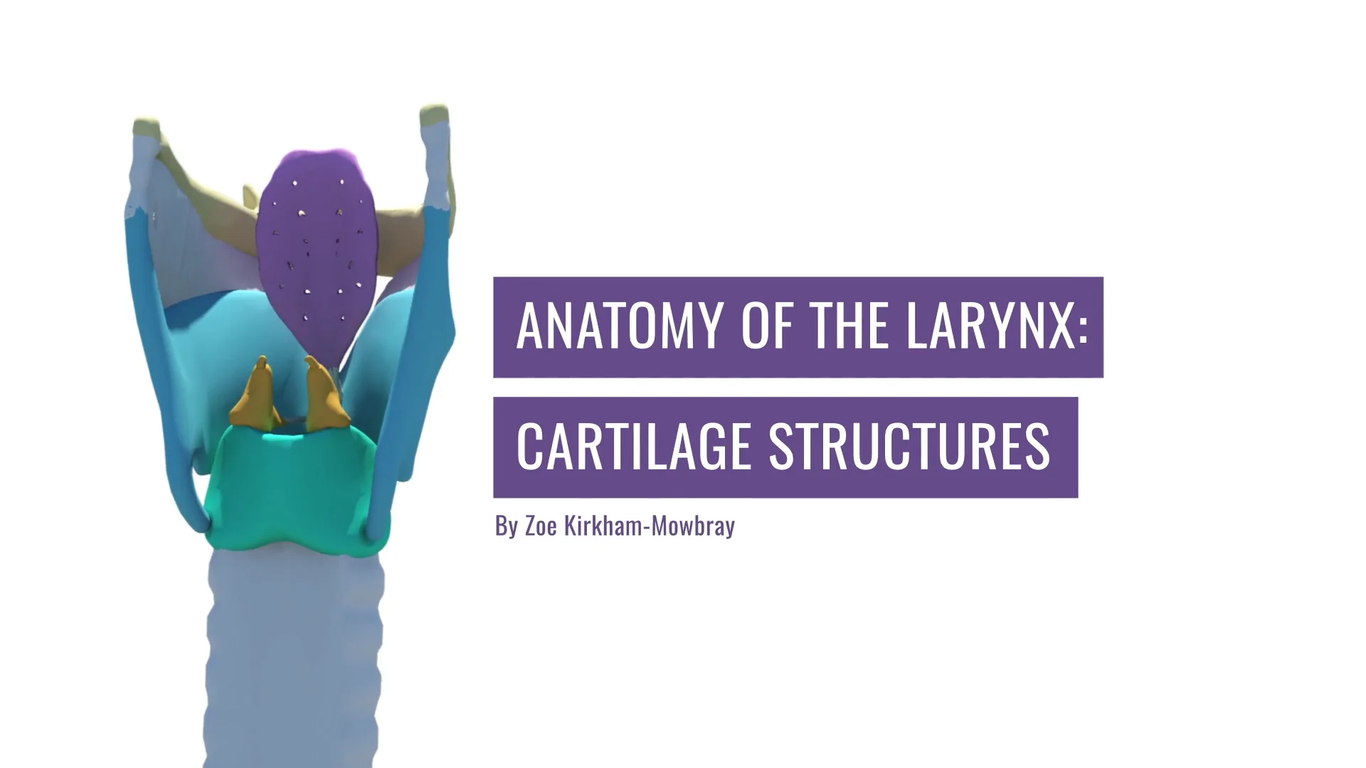 larynx cartilage
