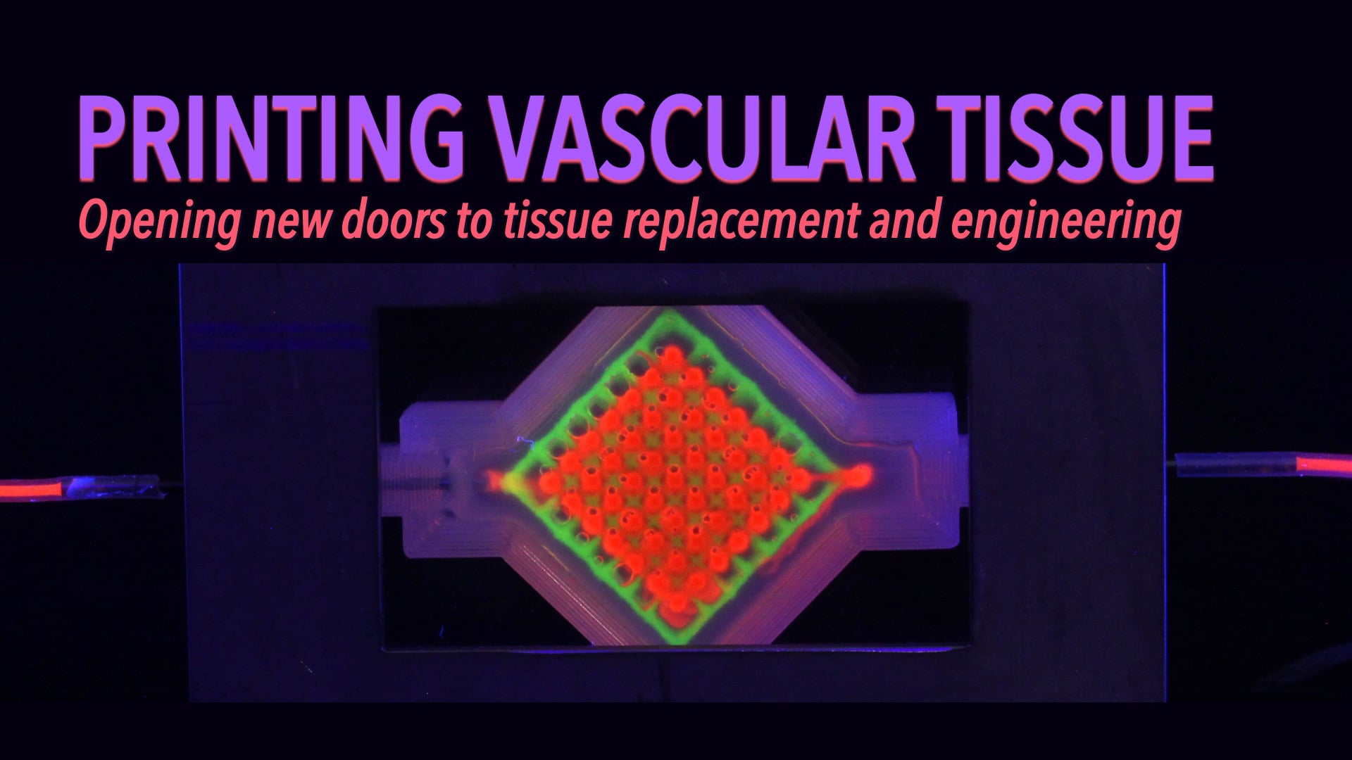 Printing Vascular Tissue