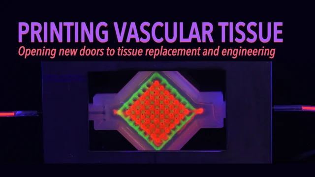 Printing Vascular Tissue