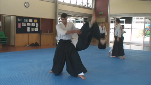 Budo Training in Aikido - Demonstration of selected techniques