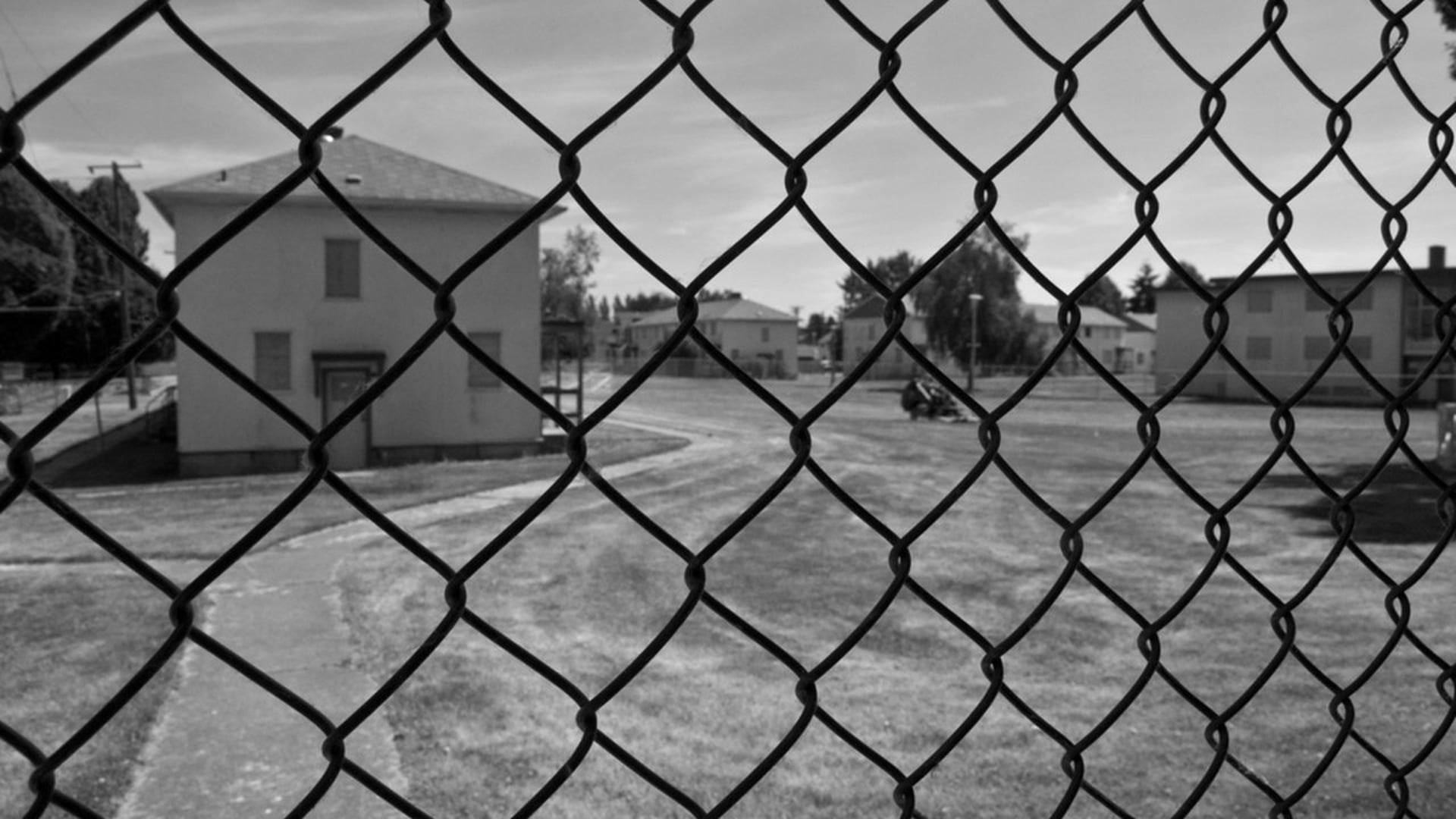 Little Mountain: A Fight for Social Housing