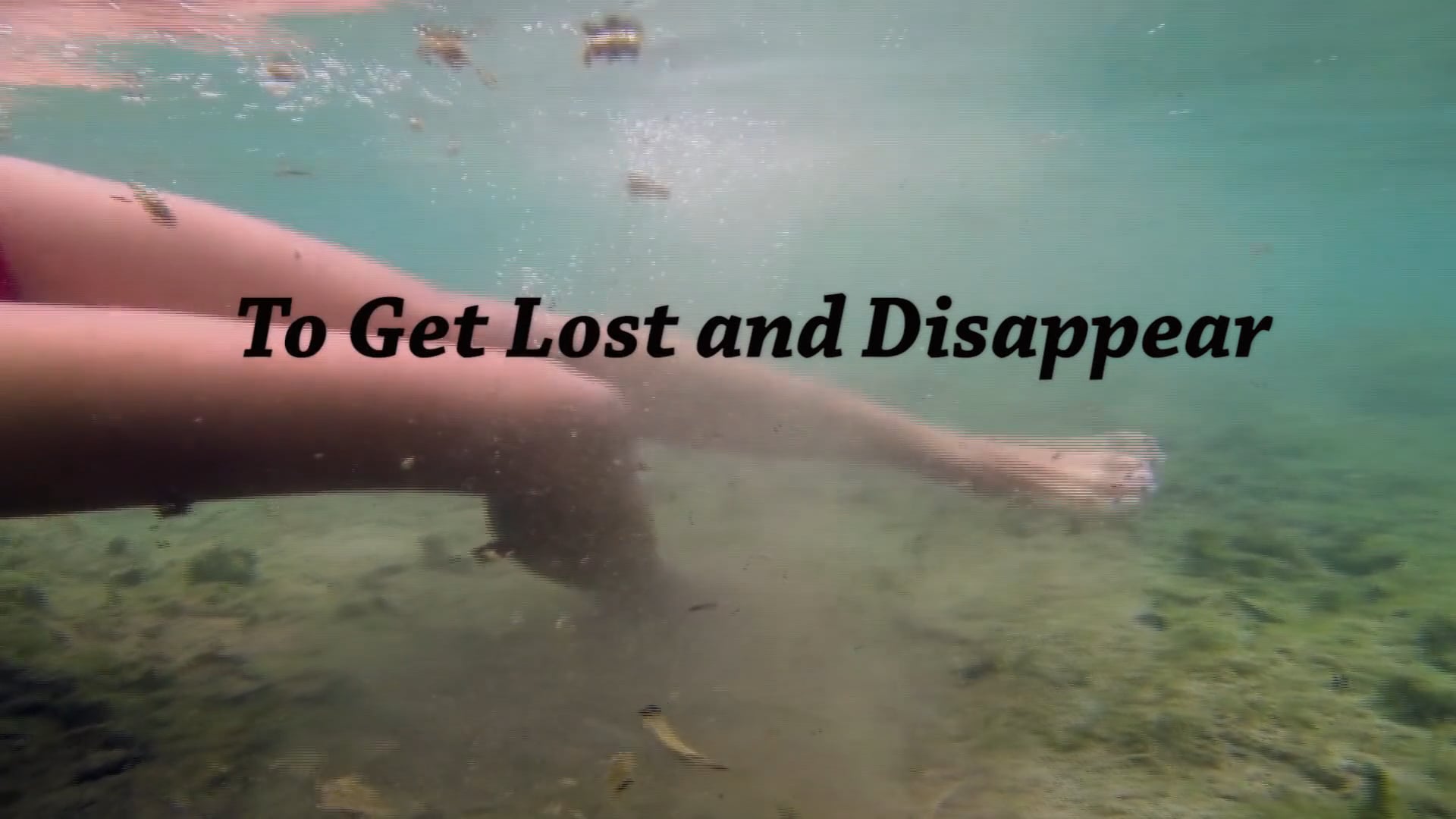 Get Lost and Disappear