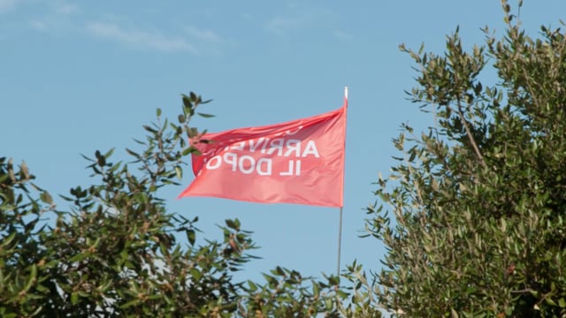BIANCO-VALENTE. NUOVI ARRIVI, NUOVE STORIE