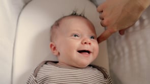 Videos Marcello Bozzini likes on Vimeo
