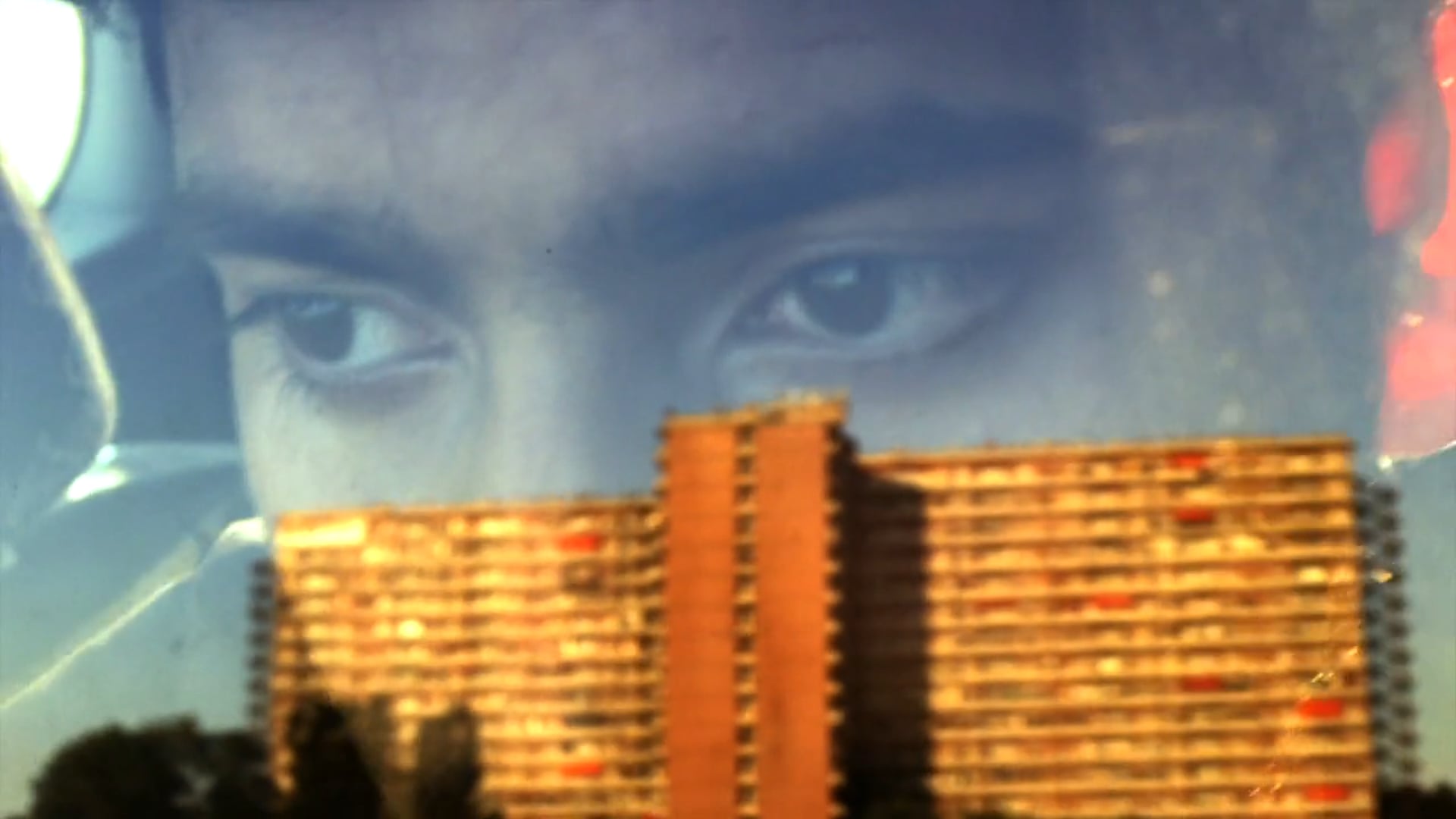 HOMEWARD BOUND Sulla strada di casa VIMEO sub eng.