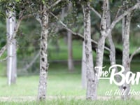 The Barn @ Hill House
