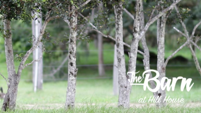 The Barn @ Hill House
