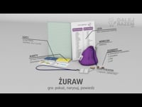13 Żuraw
