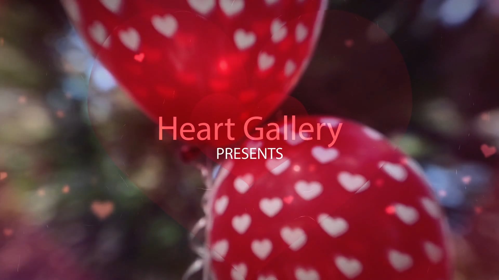 What is Heart Gallery?