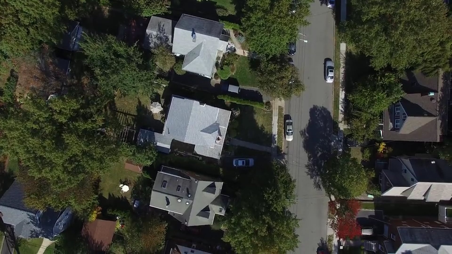 "Take me Home" - Wild Americans