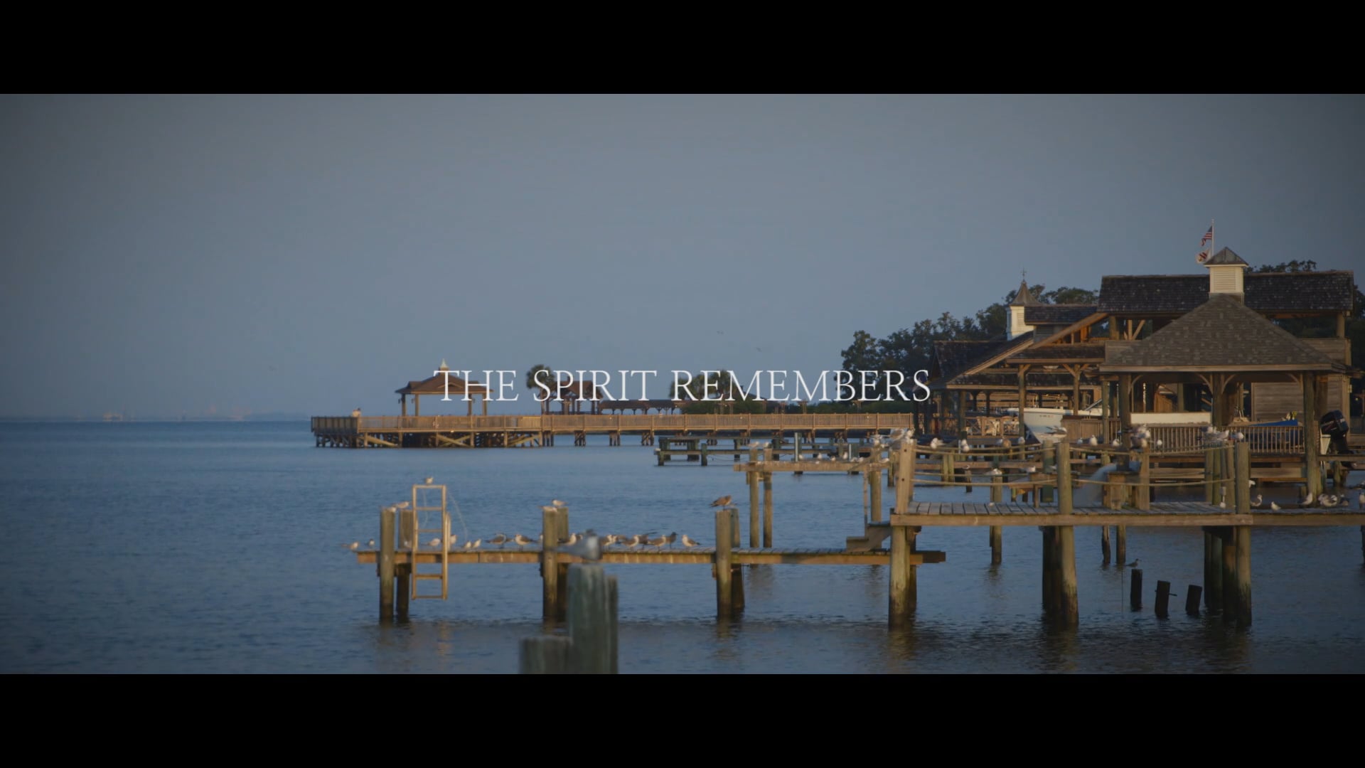 The Spirit Remembers| Segment 14 | The Wild Goose Series