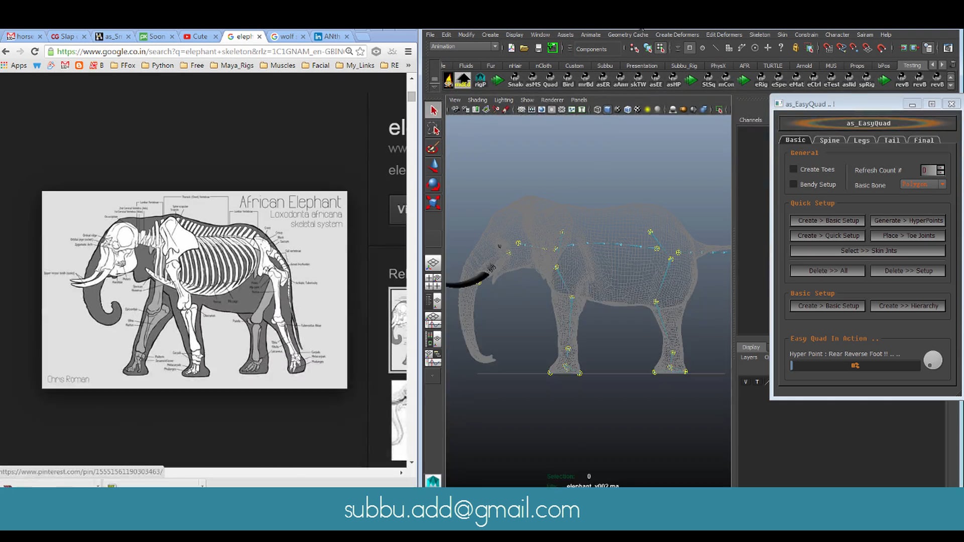 as_EasyQuad : Auto Joints Placer - as_HyperPoint (Auto Quadruped Rigging)
