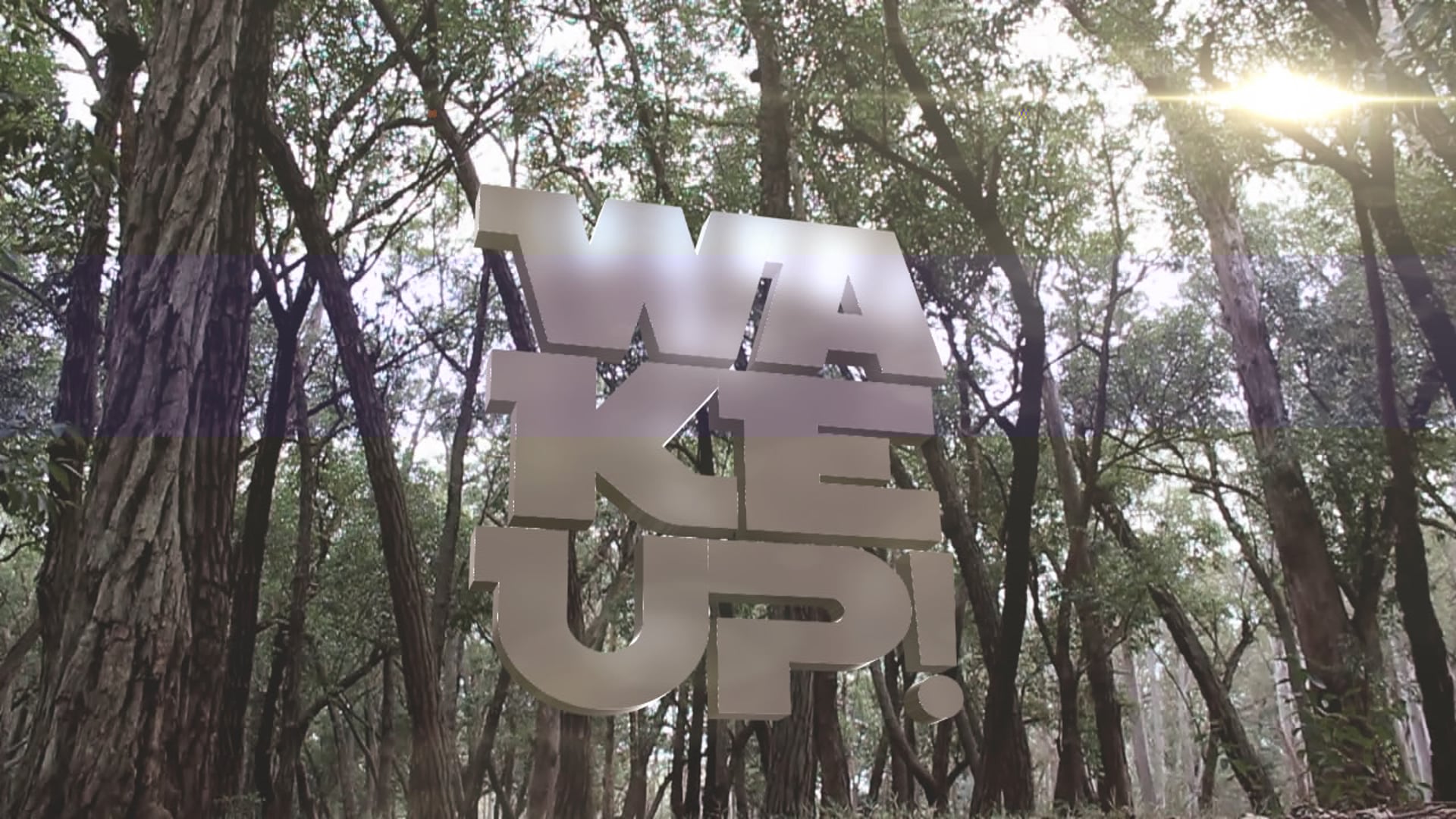 WakeUp! (Bumper)