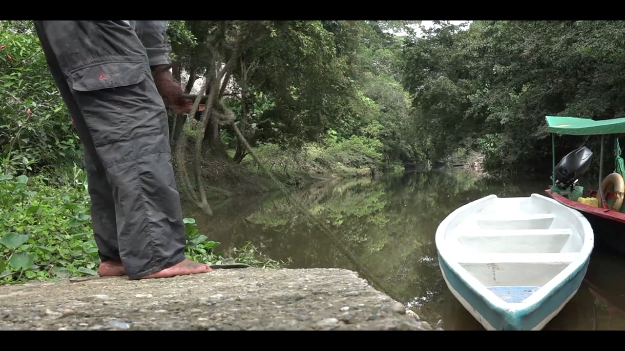 Environmental War in Ecuador's Amazonia (USA Today)