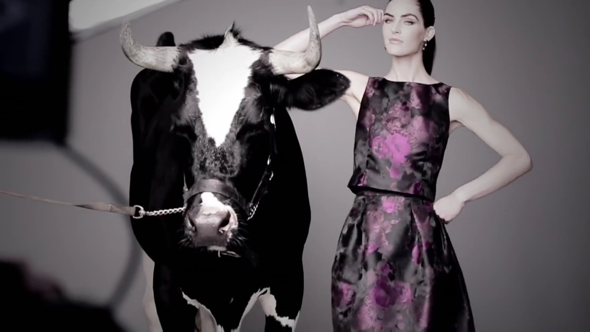 Dressbar + Hillary Rhoda, Fall Campaign 2015