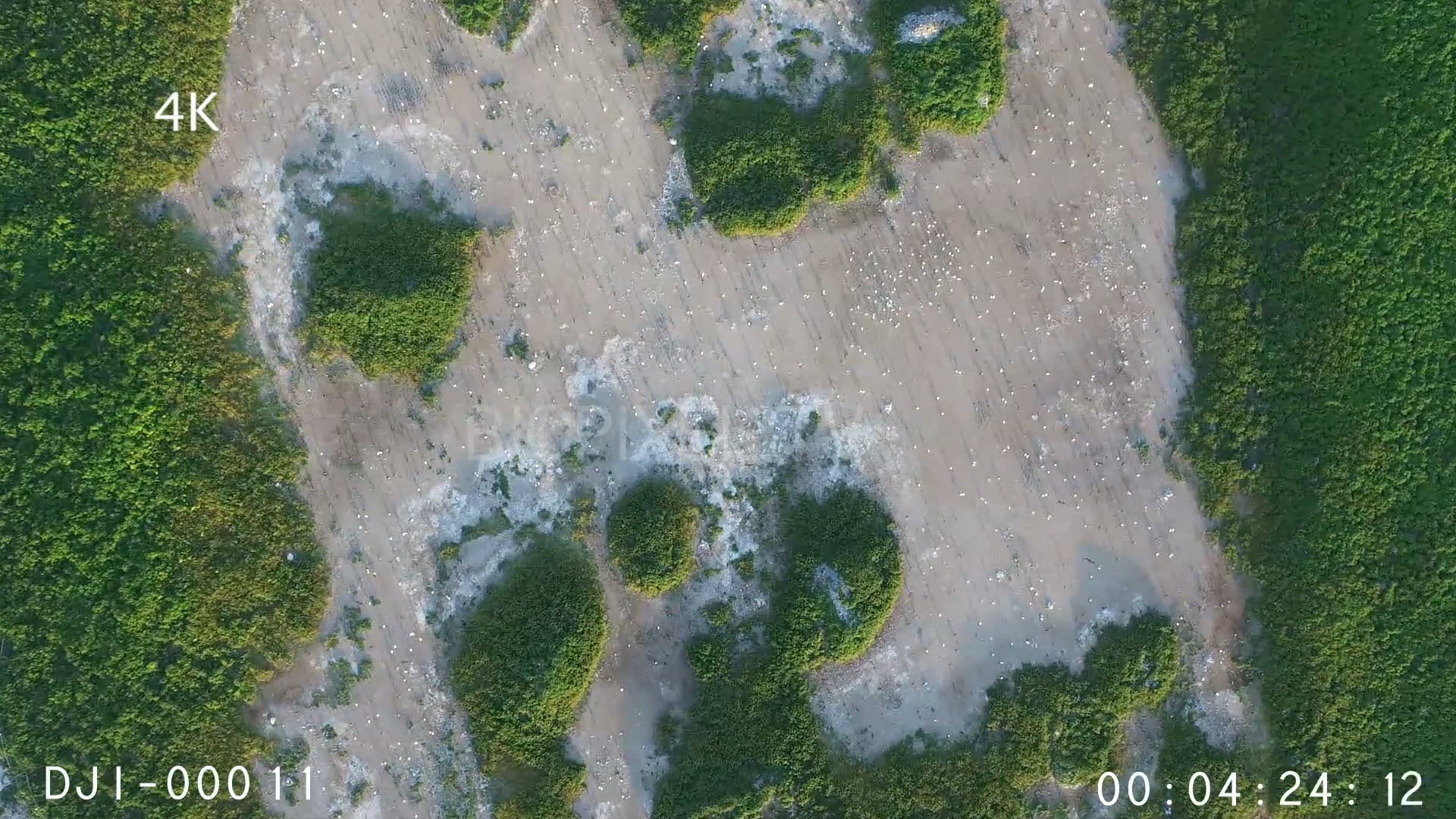 4K Islands Aerial Raine Island wet season 4K on Vimeo