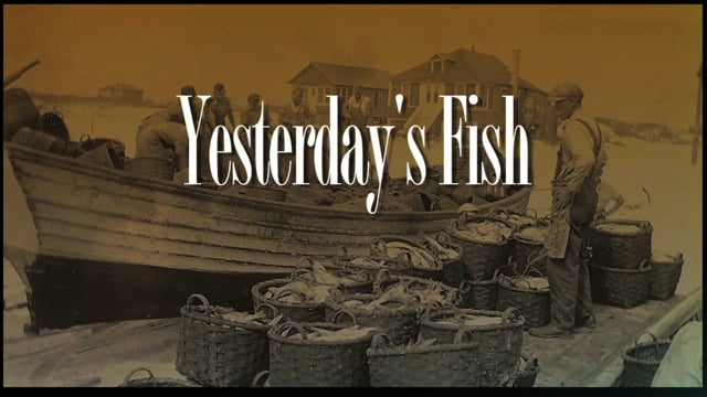 Yesterday's Fish Today's Challenges