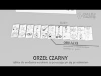 16a Orzeł czarny