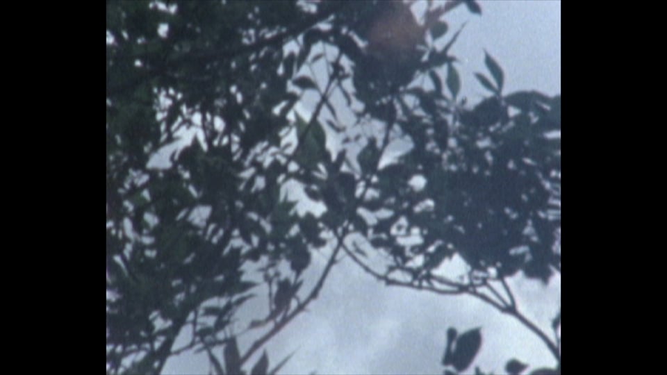 when the smog-filled wind began to howl