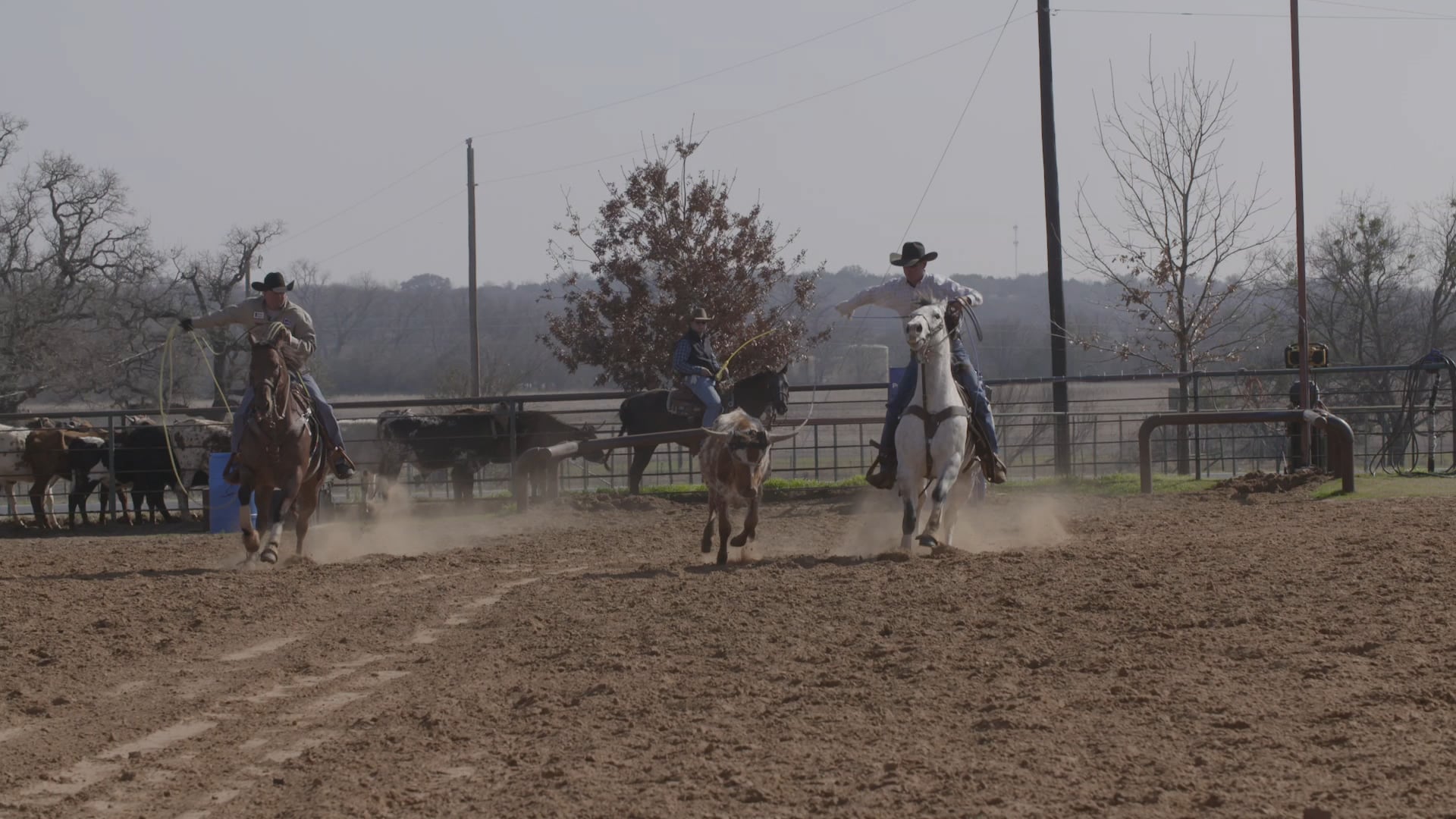 DUPLICATE Riding Position On Heel Horses With A longer Stride with Clay Logan