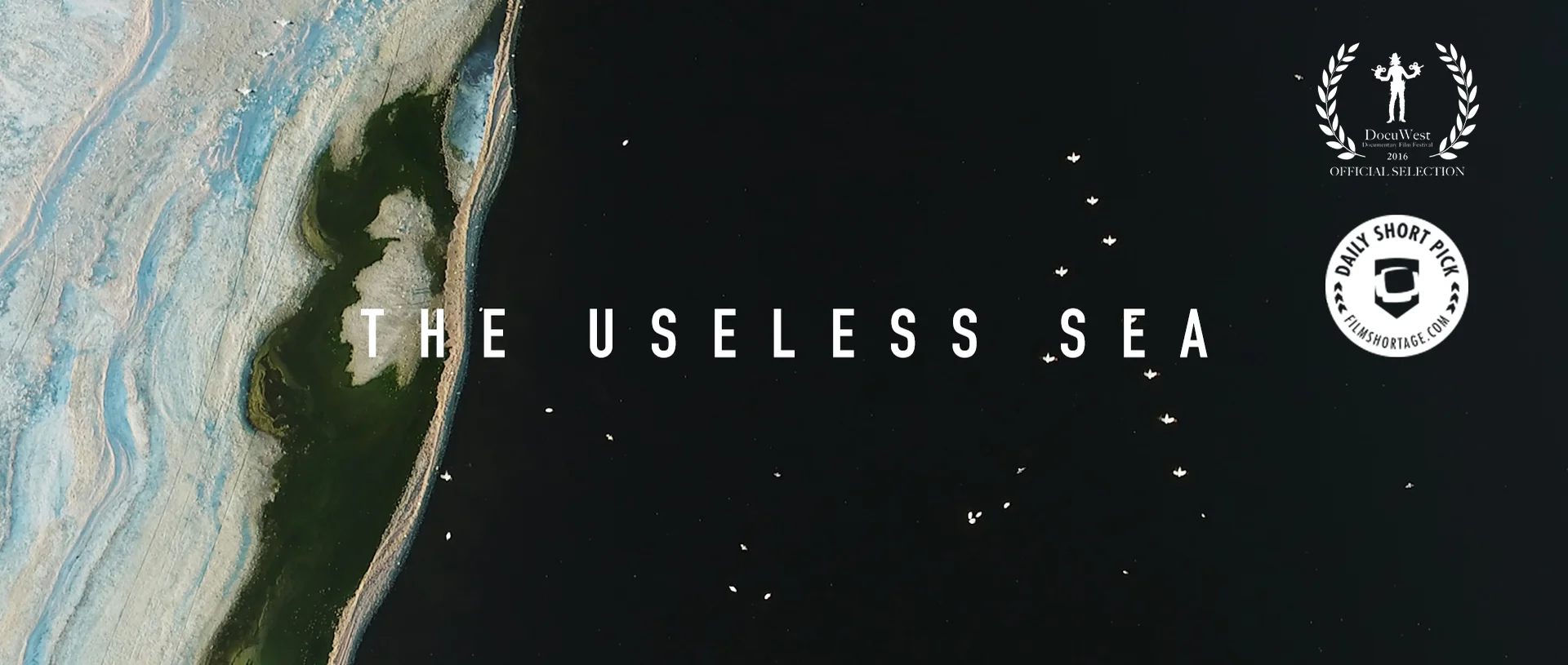 Useless Videos