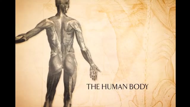 Pain Management Centers: Body