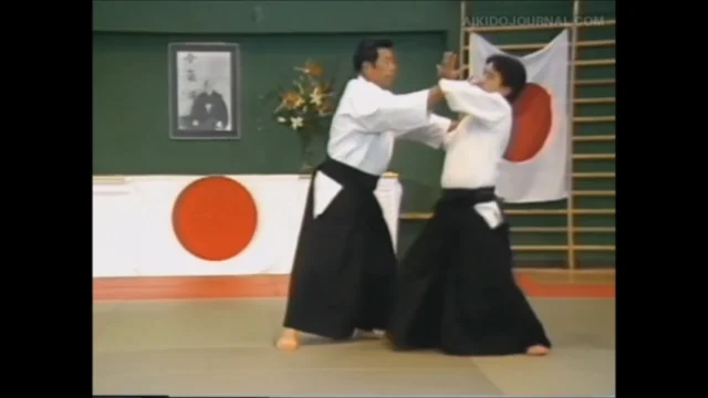 Tantodori — the Ikkyo Aikido Technique in Knife Defense
