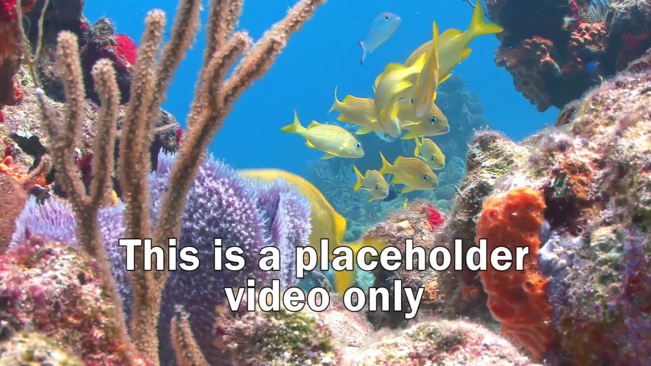 placeholder on Vimeo