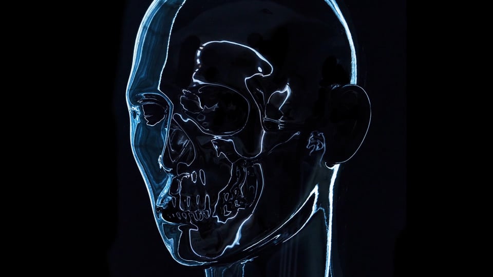 Artificial Anatomy 2