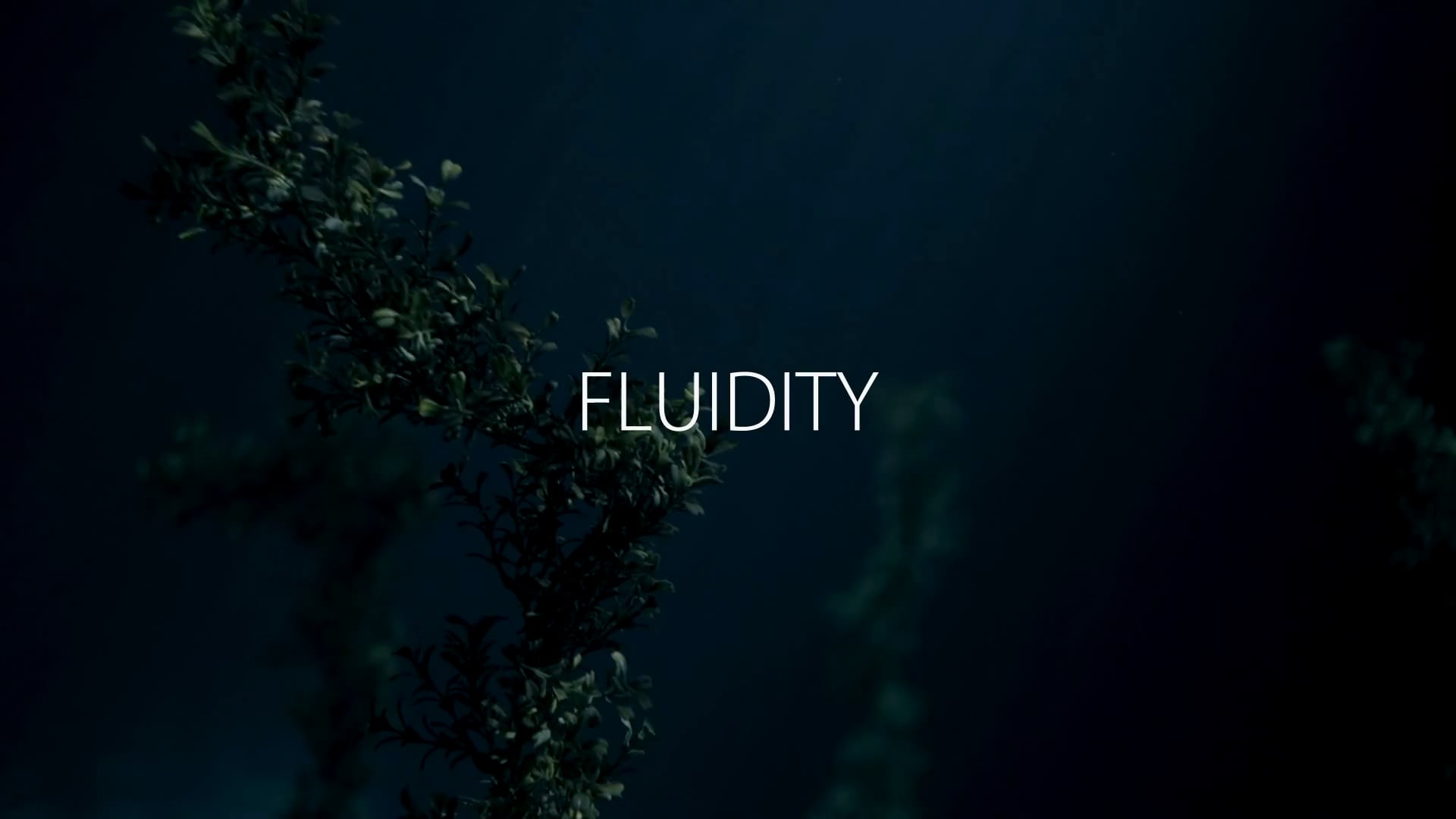 FLUIDITY